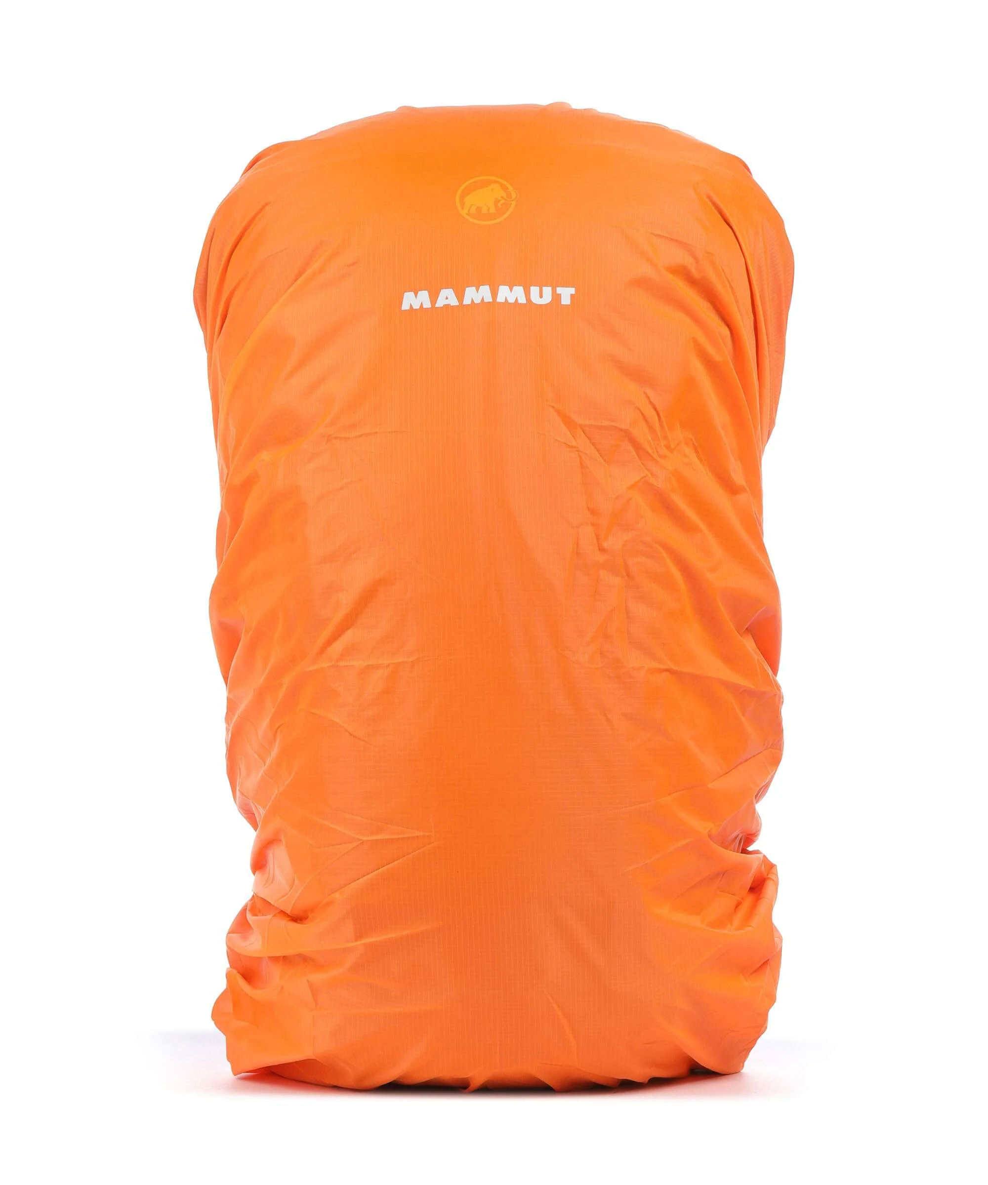 Miniatuur 6